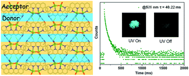 Graphical abstract: Donor–acceptor structure of a coordination polymer with long-lived room temperature phosphorescence and angle-dependent polarized emission