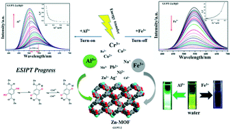 Graphical abstract: A study of GUPT-2, a water-stable zinc-based metal–organic framework as a highly selective and sensitive fluorescent sensor in the detection of Al3+ and Fe3+ ions
