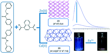 Graphical abstract: Zn(ii) and Cd(ii) coordination polymers with a new angular bis-pyridyl-bis-amide: synthesis, structures and sensing properties