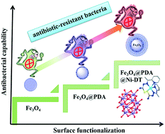 Graphical abstract: Facile and green synthesis of decatungstate-based nickel(ii) complex coated onto modified Fe3O4 nanoparticles with enhanced antimicrobial activity against antibiotic-resistant bacteria