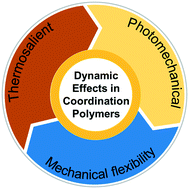 Graphical abstract: Dynamic effects in crystalline coordination polymers