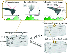 Graphical abstract: Effect of dehydration pathway on the surface properties of molecular crystals