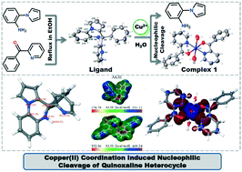 Graphical abstract: Unprecedented copper(ii) coordination induced nucleophilic cleavage of a quinoxaline heterocycle: structural and computational studies