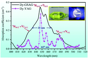 Graphical abstract: Ultra-broad absorption band of a Dy3+-doped Gd3Sc2Al3O12 garnet crystal at around 450 nm: a potential crystal for InGaN LD-pumped all-solid-state yellow lasers