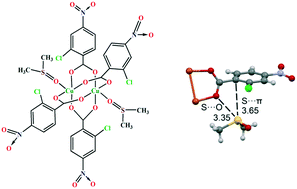 Graphical abstract: A theoretical insight into the formation of chalcogen bonding (ChB) interactions involving coordinated DMSO molecules as σ-hole donors and benzoate groups as σ-hole acceptors in a dinuclear copper(ii) complex