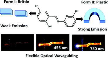 Graphical abstract: Tuning the mechanical flexibility of organic molecular crystals by polymorphism for flexible optical waveguides