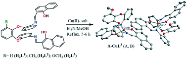 Graphical abstract: Schiff base ligands derived from 1,2-bis(2′-nitro-/amino-phenoxy)-3-R-benzene and 2-hydroxy-1-naphthaldehyde and their Cu/Zn(ii) complexes: synthesis, characterization, X-ray structures and computational studies