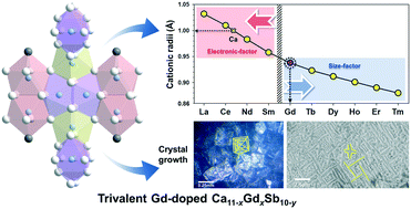 Graphical abstract: Early stage of the single-crystal growth and tipping point of the cationic site preference in Gd-doped Zintl phase thermoelectric materials