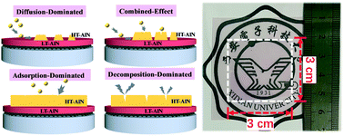 Graphical abstract: Growth mechanism on graphene-regulated high-quality epitaxy of flexible AlN film