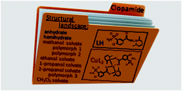 Graphical abstract: Solvatomorph and polymorph screening of clopamide drug and its copper(ii) complex crystals