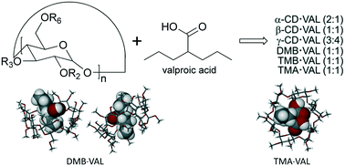 Graphical abstract: Cyclodextrin complexes of the anticonvulsant agent valproic acid