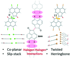 Graphical abstract: Halogen bonding vs. π-stacking interactions in new bis(acenaphthylene)dione semiconductors