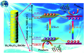 Graphical abstract: Supporting ultrathin “fish scale-like” BiOBr nanosheets on Bi6Mo2O15 sub-microwires for boosting photocatalytic performance