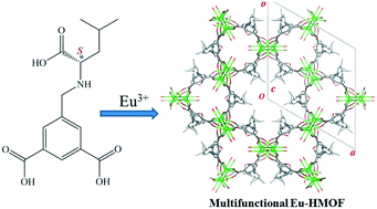 Graphical abstract: Homochiral porous coordination polymer of EuIII for metal ion sensing and enantioselective adsorption