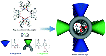 Graphical abstract: Porous nickel and cobalt hexanuclear ring-like clusters built from two different kind of calixarene ligands – new molecular traps for small volatile molecules
