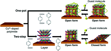 Graphical abstract: Exploration of structural transition phenomenon in flexible metal–organic framework formed on polymer substrate