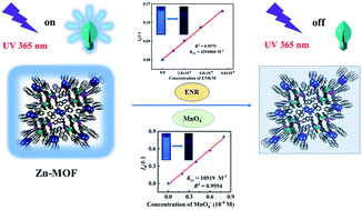Graphical abstract: Two robust Zn(ii)-organic frameworks as dual-functional fluorescent probes for efficient sensing of enrofloxacin and MnO4− anions