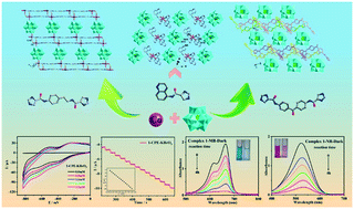 Graphical abstract: Various amide derivatives induced Keggin-type SiW12O404−-based cobalt complexes: assembly, structure, electrochemical sensing and dye adsorption properties