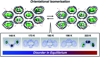 Graphical abstract: Orientational isomerisation of guest molecules in equilibrium in a tubular host crystal formed via halogen and hydrogen bonding