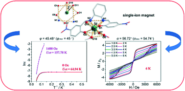 Graphical abstract: Salen-type mononuclear dysprosium complex displays significant single-molecule magnet performance