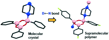 Graphical abstract: Effect of chemical substitution on the construction of boroxine-based supramolecular crystalline polymers featuring B←N dative bonds