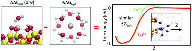 Graphical abstract: Interplay of physically different properties leading to challenges in separating lanthanide cations – an ab initio molecular dynamics and experimental study