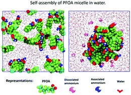 Graphical abstract: Controlling the self-assembly of perfluorinated surfactants in aqueous environments