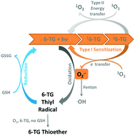 Graphical abstract: Thioguanine restoration through type I photosensitization-superoxide oxidation-glutathione reduction cycles