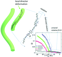 Graphical abstract: Molecular biaxiality determines the helical structure – infrared measurements of the molecular order in the nematic twist-bend phase of difluoro terphenyl dimer