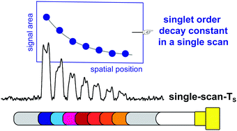 Graphical abstract: Single-scan measurements of nuclear spin singlet order decay rates
