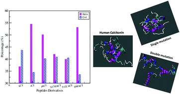 Graphical abstract: Controlling the self-assembly of human calcitonin: a theoretical approach using molecular dynamics simulations