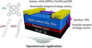 Graphical abstract: Transport of charge carriers and optoelectronic applications of highly ordered metal phthalocyanine heterojunction thin films