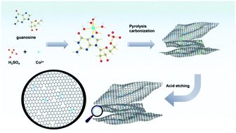 Graphical abstract: Single-atom cobalt-fused biomolecule-derived nitrogen-doped carbon nanosheets for selective oxidation reactions