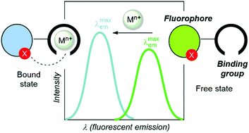 Graphical abstract: Bicolour fluorescent molecular sensors for cations: design and experimental validation