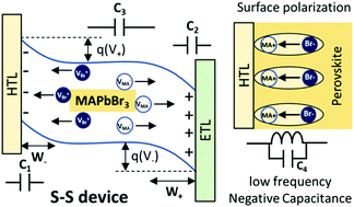 Graphical abstract: The curious case of ion migration in solid-state and liquid electrolyte-based perovskite devices: unveiling the role of charge accumulation and extraction at the interfaces