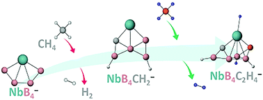 Graphical abstract: Consecutive methane activation mediated by single metal boride cluster anions NbB4−