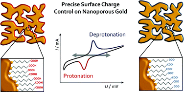 Graphical abstract: Nanoporous gold electrodes modified with self-assembled monolayers for electrochemical control of the surface charge