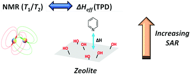 Graphical abstract: Nuclear spin relaxation as a probe of zeolite acidity: a combined NMR and TPD investigation of pyridine in HZSM-5