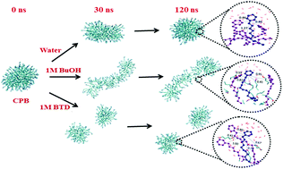 Graphical abstract: Contrasting effect of 1-butanol and 1,4-butanediol on the triggered micellar self-assemblies of C16-type cationic surfactants