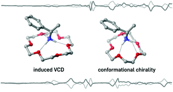 Graphical abstract: Induced VCD and conformational chirality in host–guest complexes of a chiral ammonium salt with crown ethers