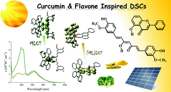 Graphical abstract: Non-innocent ligand flavone and curcumin inspired ruthenium photosensitizers for solar energy conversion