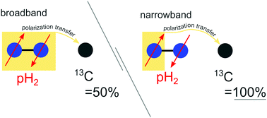 Graphical abstract: Selective excitation doubles the transfer of parahydrogen-induced polarization to heteronuclei