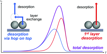Graphical abstract: Crucial impact of exchange between layers on temperature programmed desorption