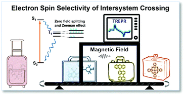 Graphical abstract: Electron spin dynamics in excited state photochemistry: recent development in the study of intersystem crossing and charge transfer in organic compounds