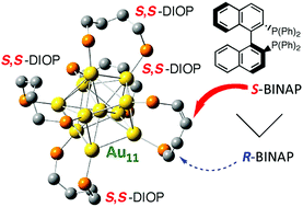 Graphical abstract: Mixed-diphosphine-protected chiral undecagold clusters Au11(S,S-DIOP)4(rac-/R-/S-BINAP): effect of the handedness of BINAP on their chiroptical responses