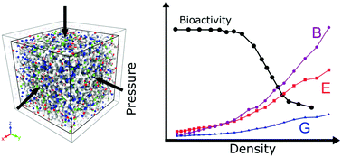 Graphical abstract: Atomistic insights into the structure and elasticity of densified 45S5 bioactive glasses