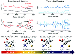 Graphical abstract: Inspecting the structural characteristics of chiral drug penicillamine under different pH conditions using Raman optical activity spectroscopy and DFT calculations