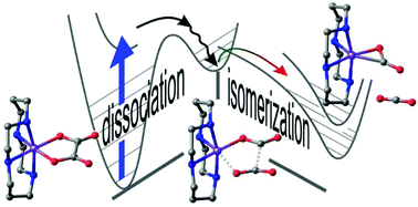 Graphical abstract: Ultrafast “end-on”-to-“side-on” binding-mode isomerization of an iron–carbon dioxide complex