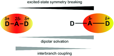 Graphical abstract: Excited-state symmetry breaking in 9,10-dicyanoanthracene-based quadrupolar molecules: the effect of donor–acceptor branch length