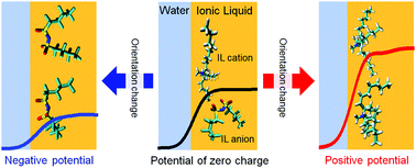 Graphical abstract: Potential dependence of the ionic structure at the ionic liquid/water interface studied using MD simulation